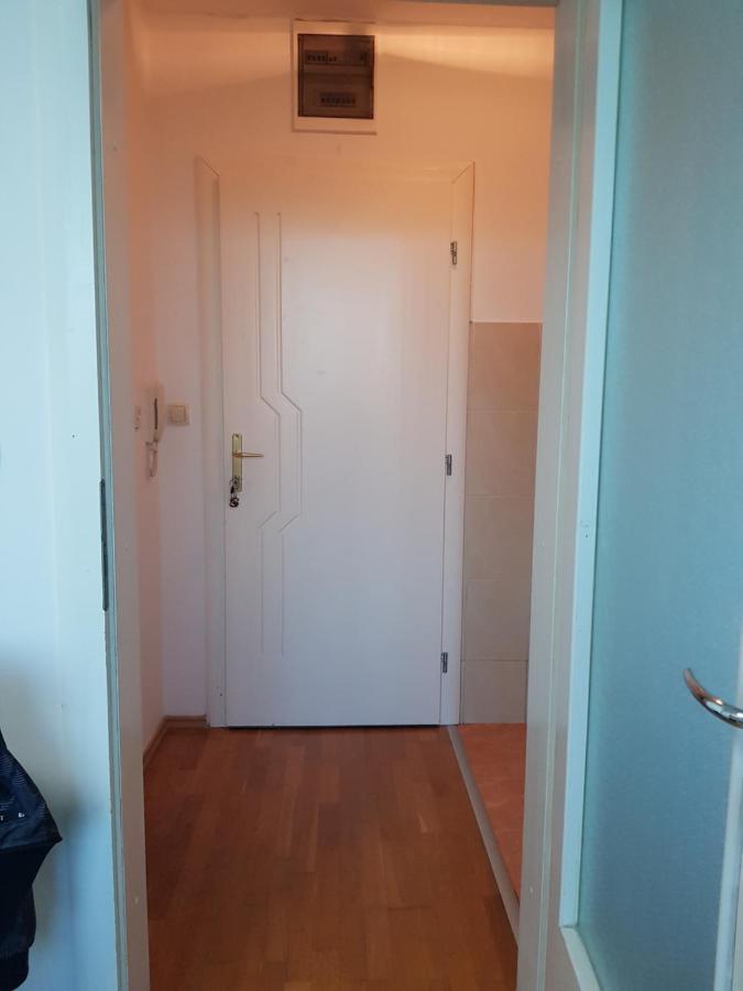 Central Apartment With 24-7 Building Security 诺威萨 外观 照片